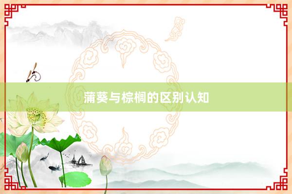 蒲葵与棕榈的区别认知
