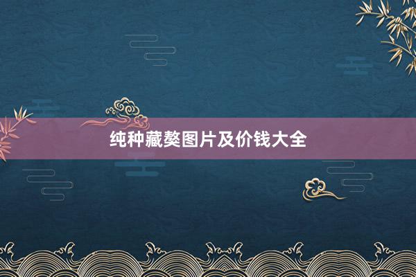 纯种藏獒图片及价钱大全